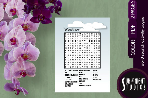 Weather Word Search: A Science Activity PDF